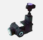 �Ȍ����������y